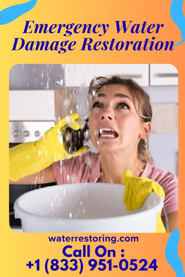 Emergency Water Damage Restoration in Oak Springs, AZ